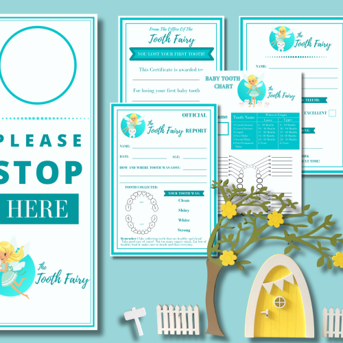 Tooth Fairy House Kit